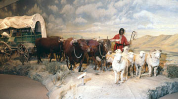 Oregon Trail sheep-oxen